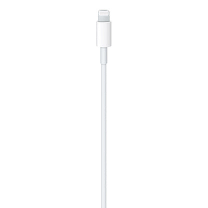 USB-C to Lightning Cable (OEM)