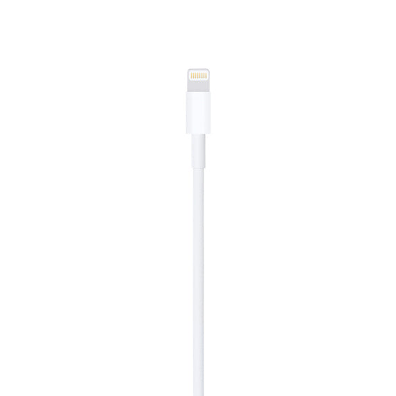 USB to Lightning Cable (OEM)