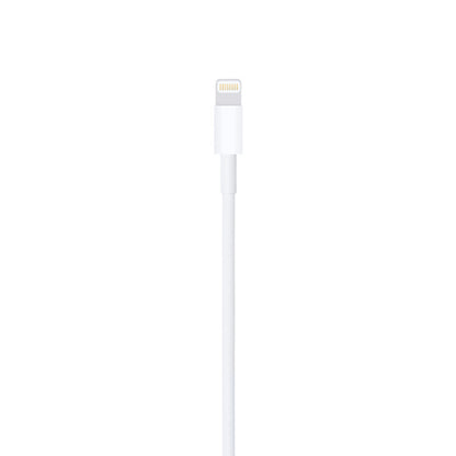 USB to Lightning Cable (OEM)
